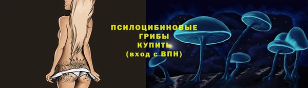 прущие крисы Богородицк