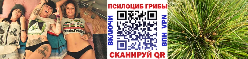 ОМГ ОМГ маркетплейс  Гороховец  Псилоцибиновые грибы MAGIC MUSHROOMS 