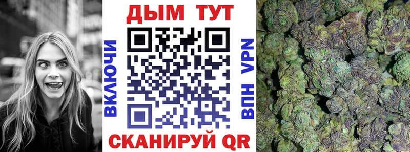 Бошки марихуана VHQ  МЕГА как войти  Гороховец 